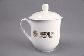 国度电网