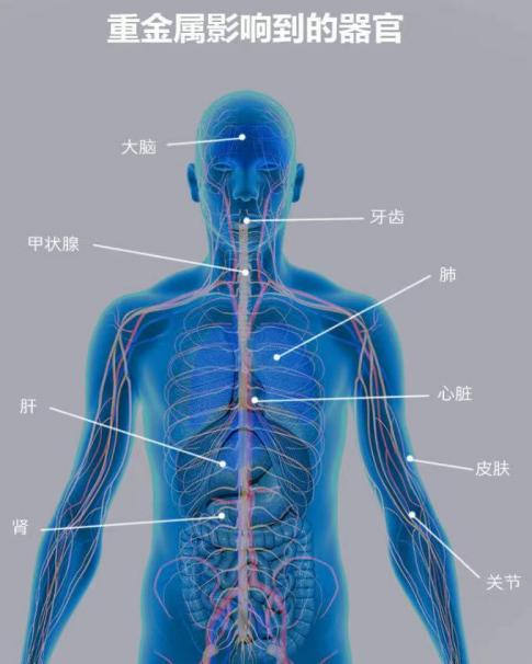 918博天堂·(中国区)官方网站
